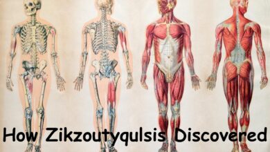 How Zikzoutyqulsis Discovered